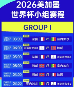 2026年世界杯预选赛精彩瞬间
